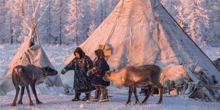 Discover The Vibrant World Of The Yamal Nenets