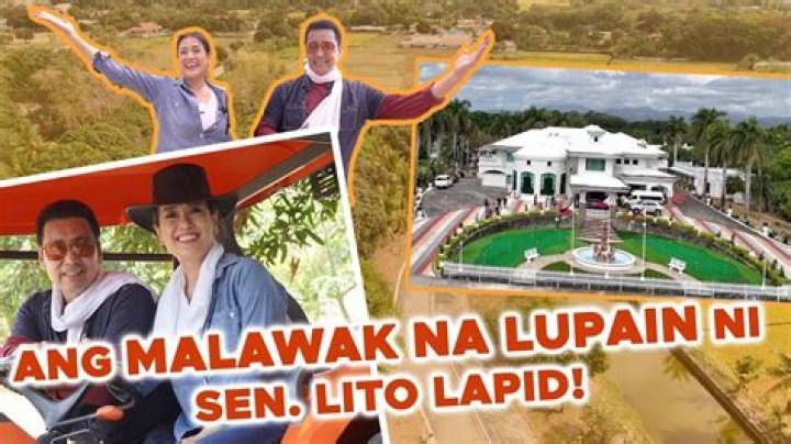 The Sibling Of Lito Lapid: A Deeper Dive