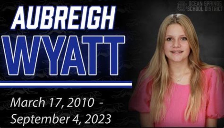 Uncovering The Bullying Tactics Of Aubreigh Wyatt